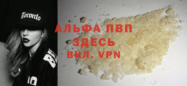 стаф Алзамай