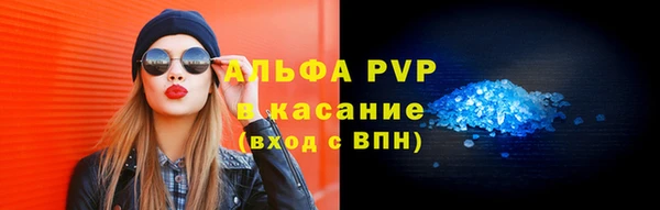 стаф Алзамай