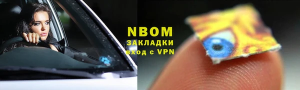 стаф Алзамай