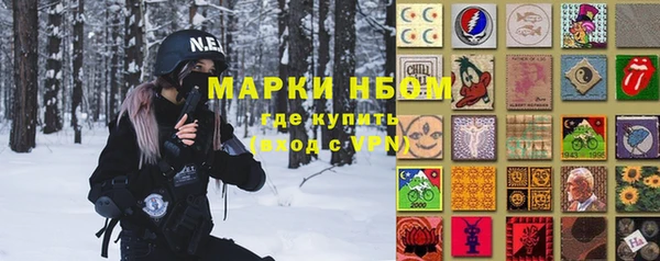 стаф Алзамай