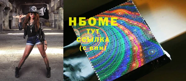 стаф Алзамай