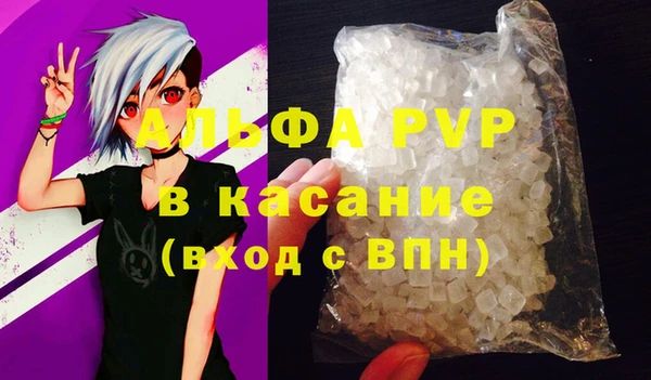стаф Алзамай