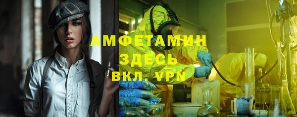 стаф Алзамай